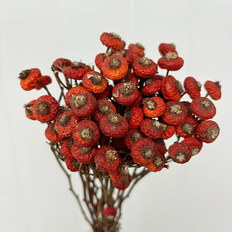 Dried Flower Bulk - 10pcs/Bunch Dried Rose Hip Berries Flowers