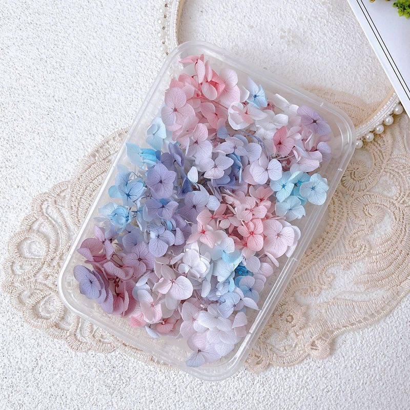 1Box Real Dried Flower Nail De - Dried Flower Bulk recension och pris