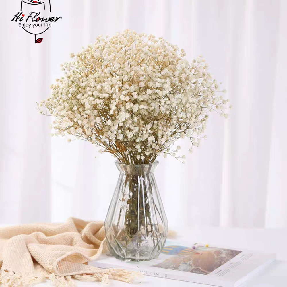 Natural Dried Flowers Preserve - Dried Flower Bulk recension och pris
