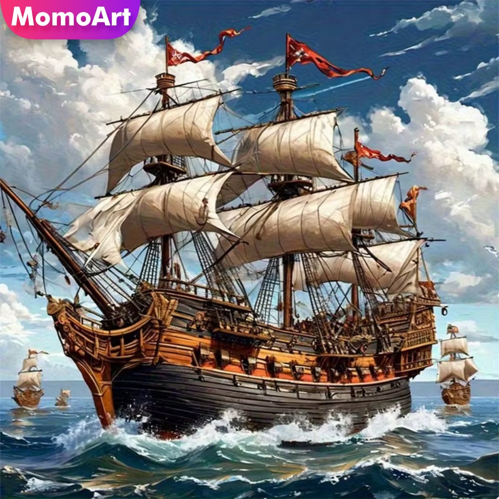 Momoart Diamond Painting Ship  - Resin Craft For Beginners recension och pris