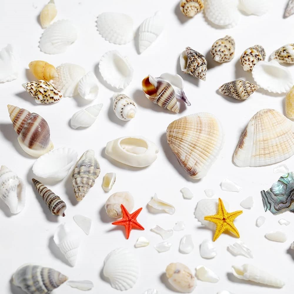 1Box Sea Shells Pearl Resin Fi - Resin Ocean Wave Mold recension och pris